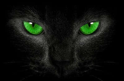 gato negro ojos esmeralda