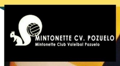 /media/noticias/fotos/pr/2017/11/24/Voleibol_Pozuelo_IN_thumb.jpg