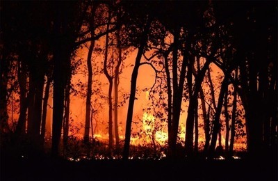/media/noticias/fotos/pr/2023/07/08/proteccion-civil-y-emergencias-alertan-por-riesgo-de-incendios-forestales-y-altas-temperaturas_thumb.jpg