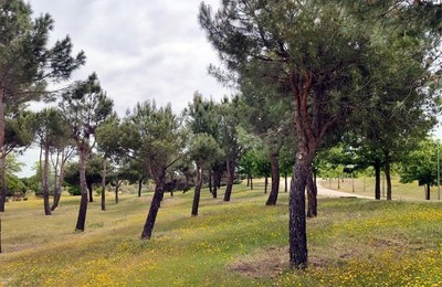 Parque Forestal Adolfo Suárez