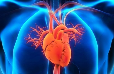https://pozueloin.es/media/noticias/fotos/pr/2024/04/23/miocardiopatía-dilatada_thumb.jpg