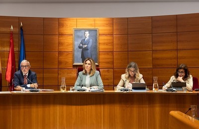 Pleno Municipal pozuelo de Alarcón