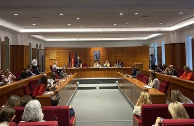 Pleno Municipal pozuelo de Alarcón