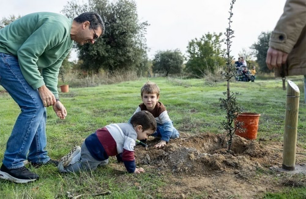 Niños plantando árboles