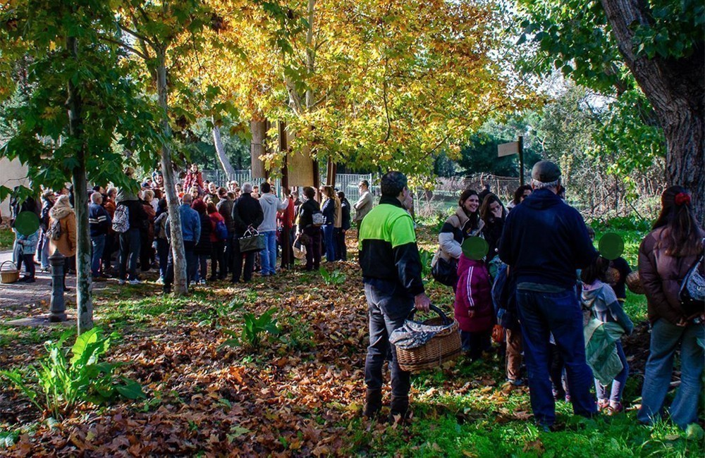 jornada de aprendizaje y disfrute en la naturaleza