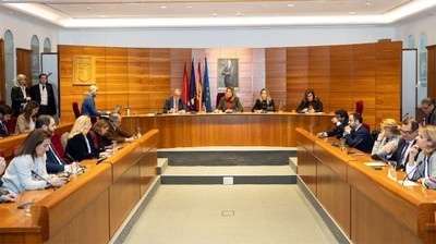 Pleno Municipal Pozuelo de Alarcón