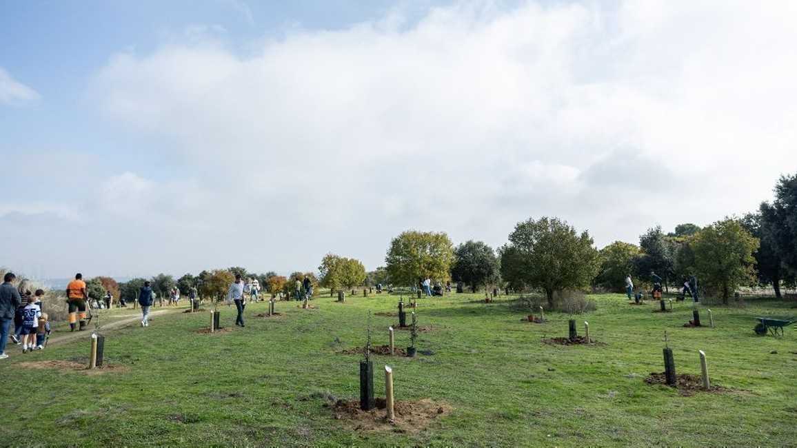 Plantando árboles en Pozuelo