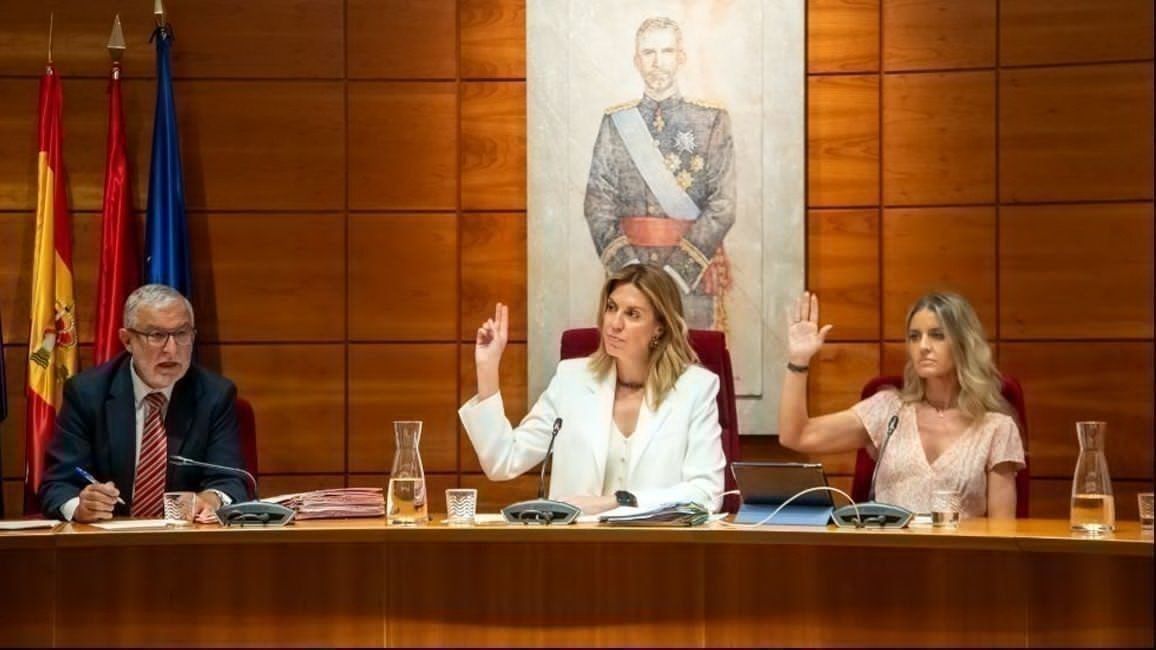 Paloma Tejero en el Pleno del Ayuntamiento de Pozuelo