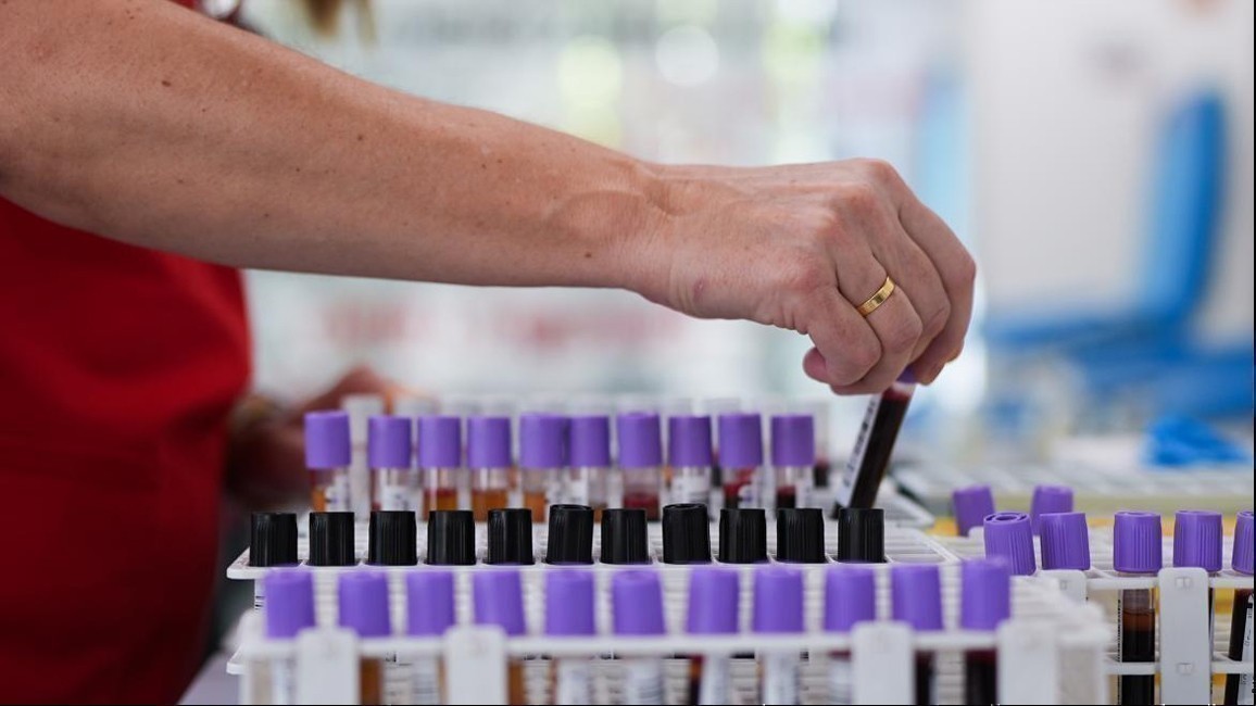 Manipulando tubos de ensayo en un laboratorio
