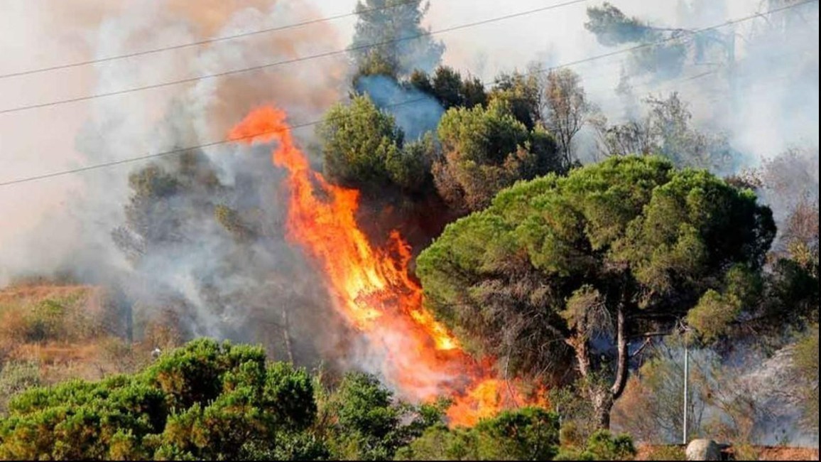 Incendio forestal