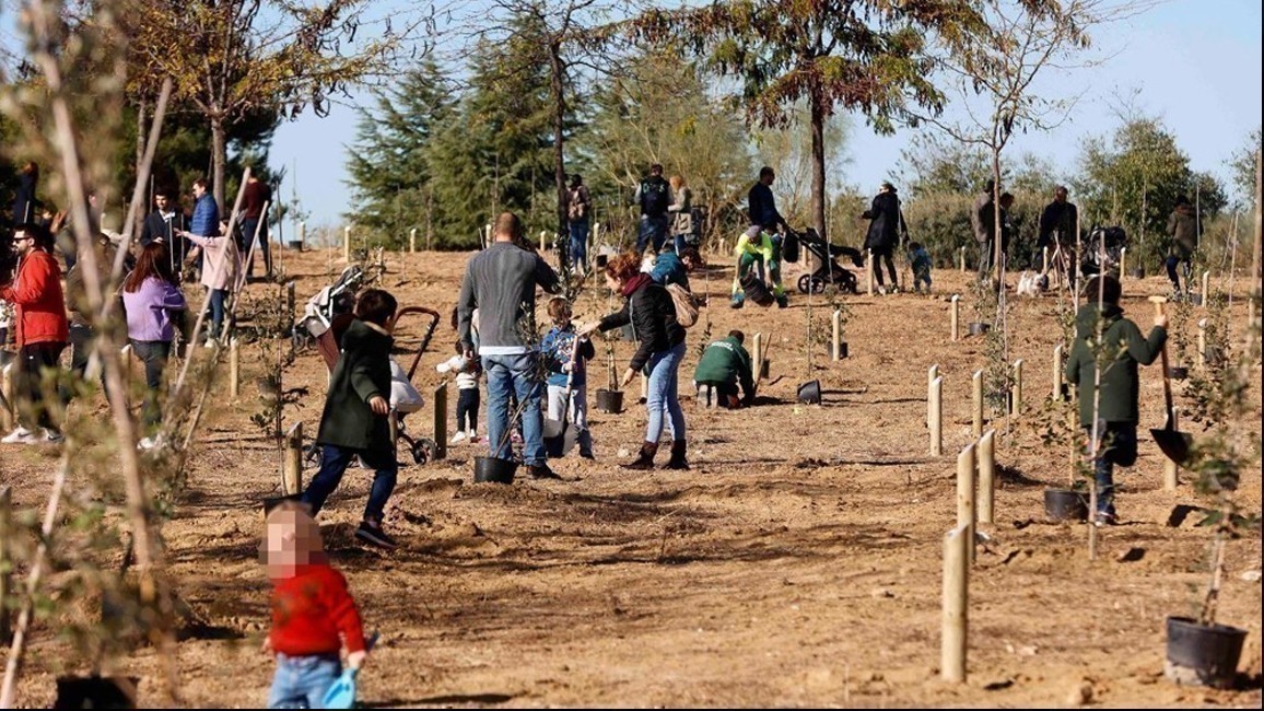 Plantando árboles en Pozuelo