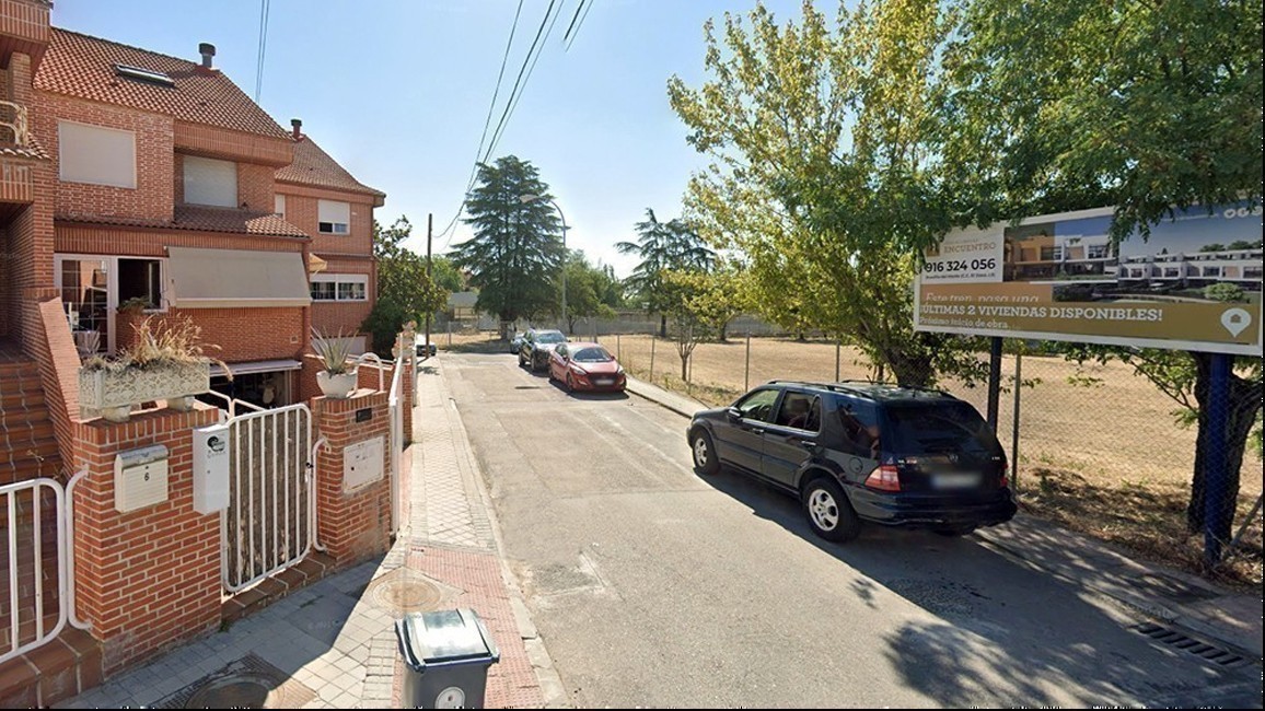 Cedro talado en Pozuelo