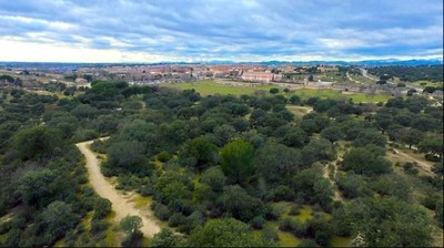 /media/noticias/fotos/pr/2025/09/29/monte-de-boadilla_thumb.jpg