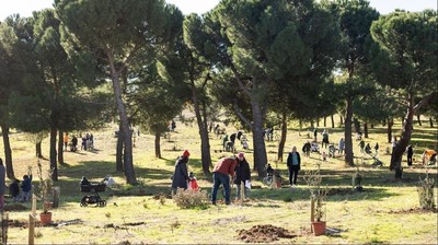 /media/noticias/fotos/pr/2025/11/22/parque-forestal-adolfo-suarez_thumb.jpg