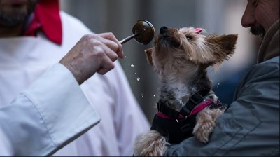 https://pozueloin.es/media/noticias/fotos/pr/2026/01/16/bendicion-a-un-perro_thumb.jpg