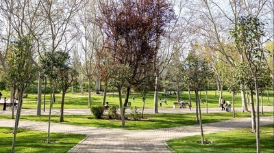 /media/noticias/fotos/pr/2026/03/18/parque-pozuelo_thumb.jpg