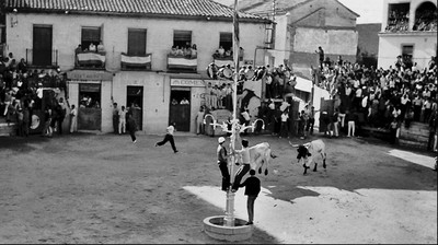 /media/noticias/fotos/pr/2026/09/02/toros-en-pozuelo_thumb.jpg