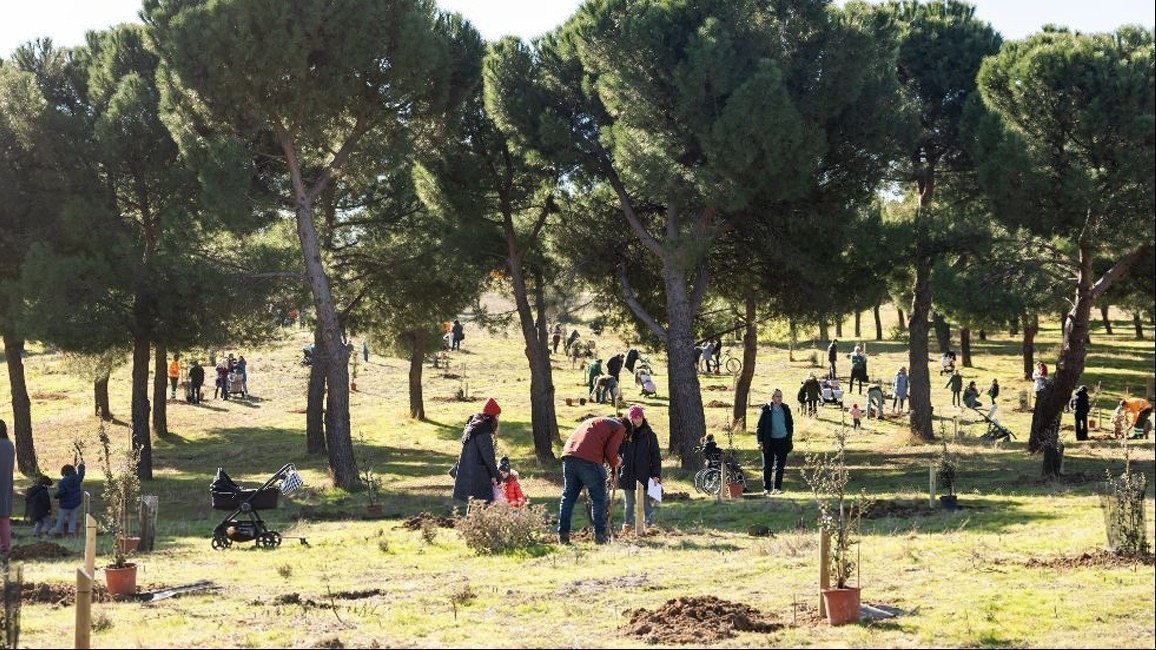 /media/noticias/fotos/pr/2026/09/28/plantando-arboles.jpg