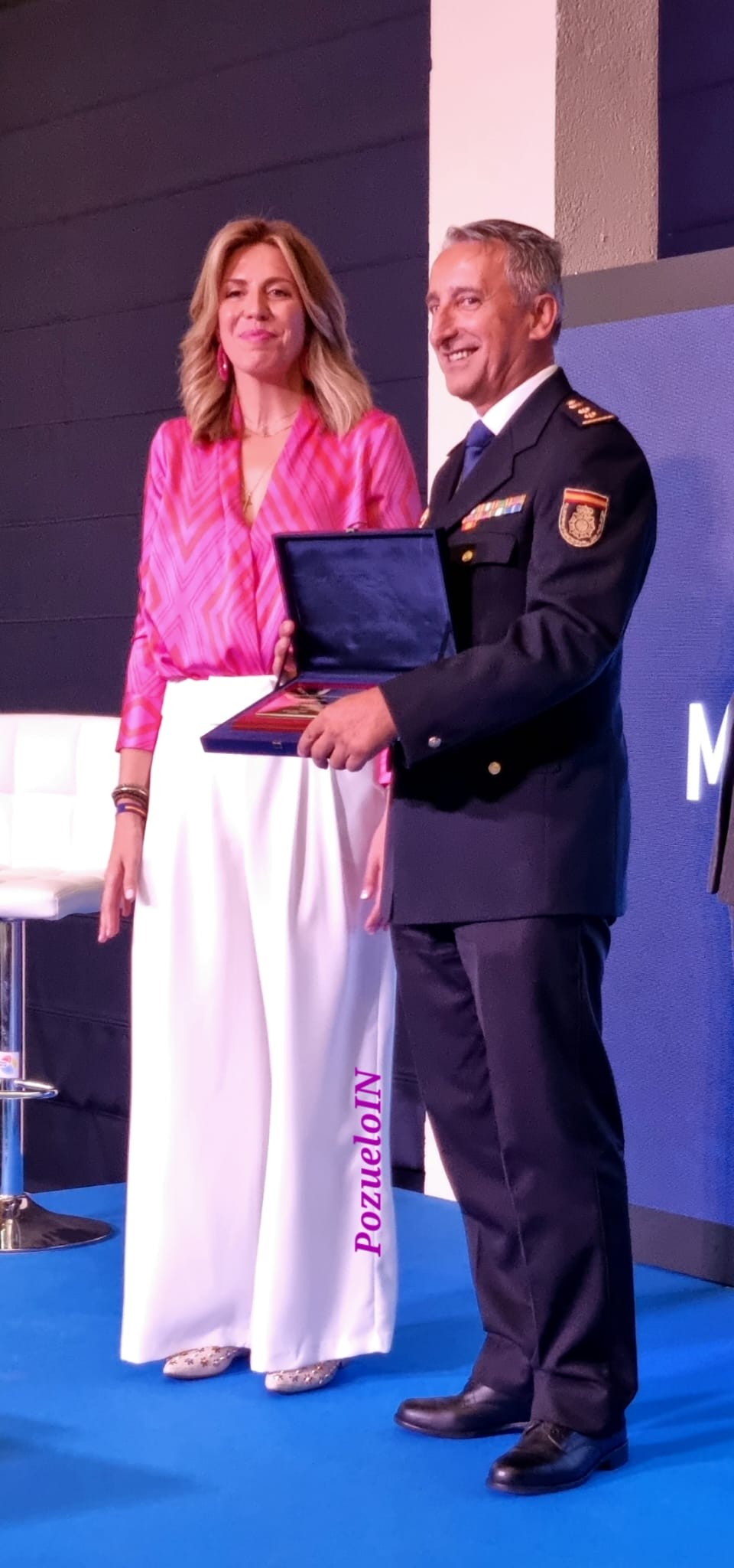 Medallas al Mérito de la Villa de Pozuelo