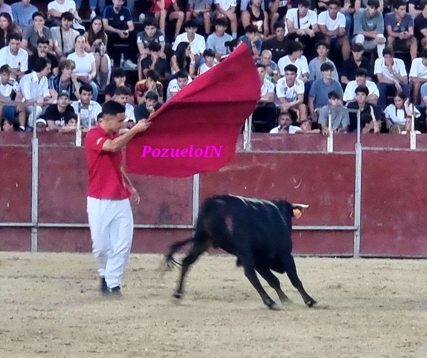 Becerrada de las Peñas de Pozuelo