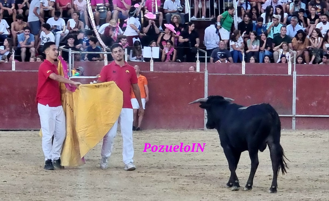 Becerrada de las Peñas de Pozuelo