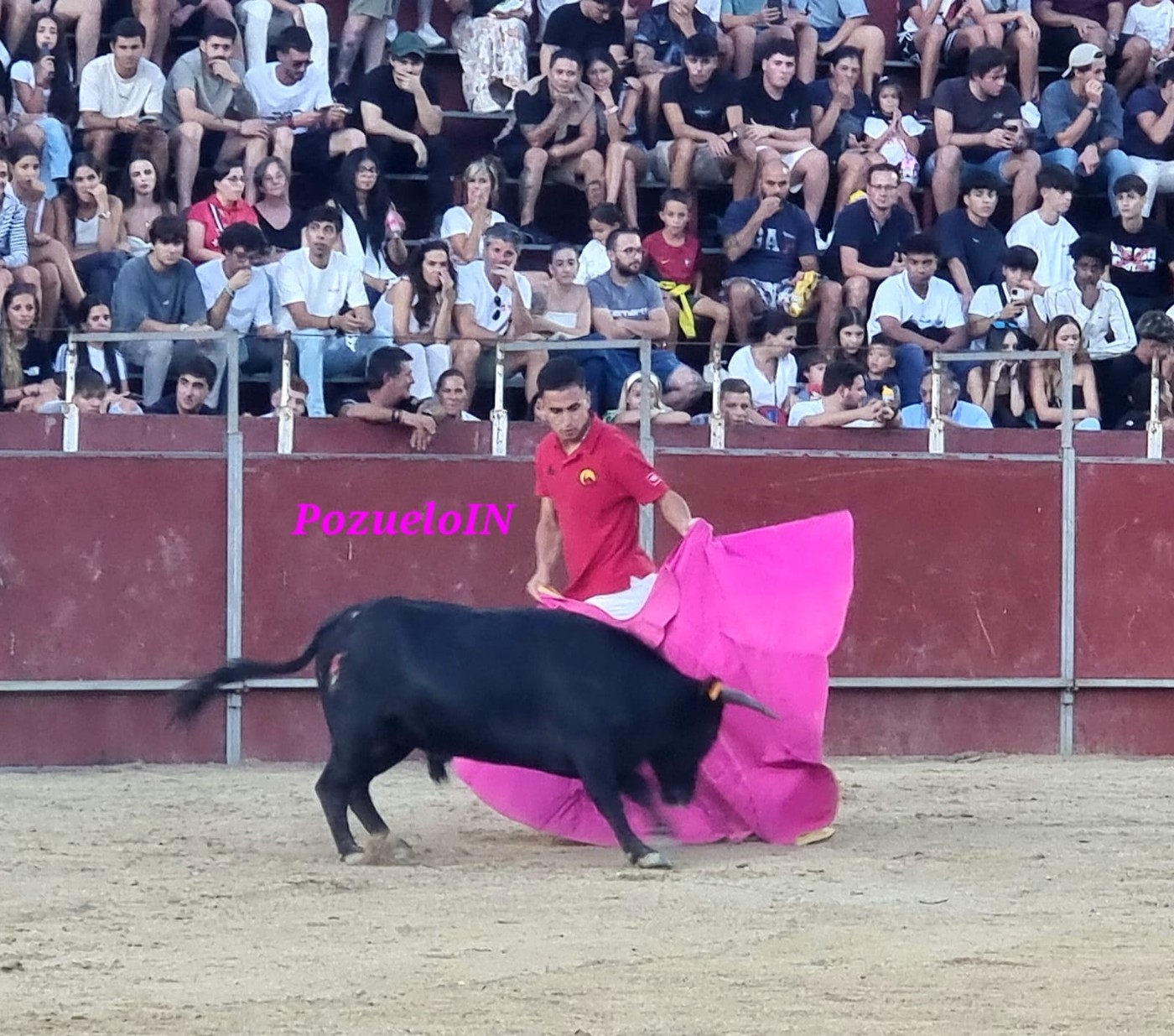 Becerrada de las Peñas de Pozuelo