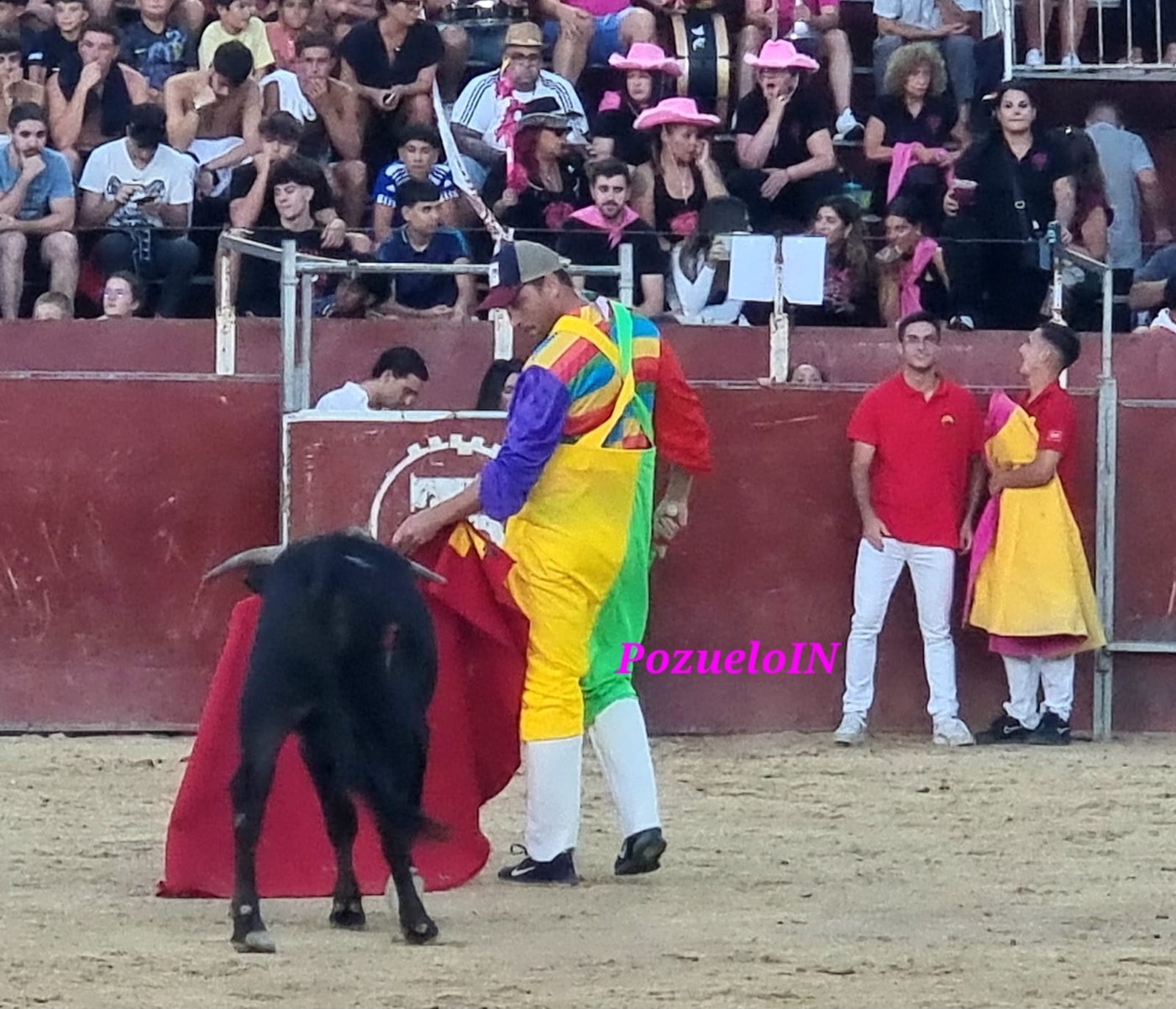 Becerrada de las Peñas de Pozuelo