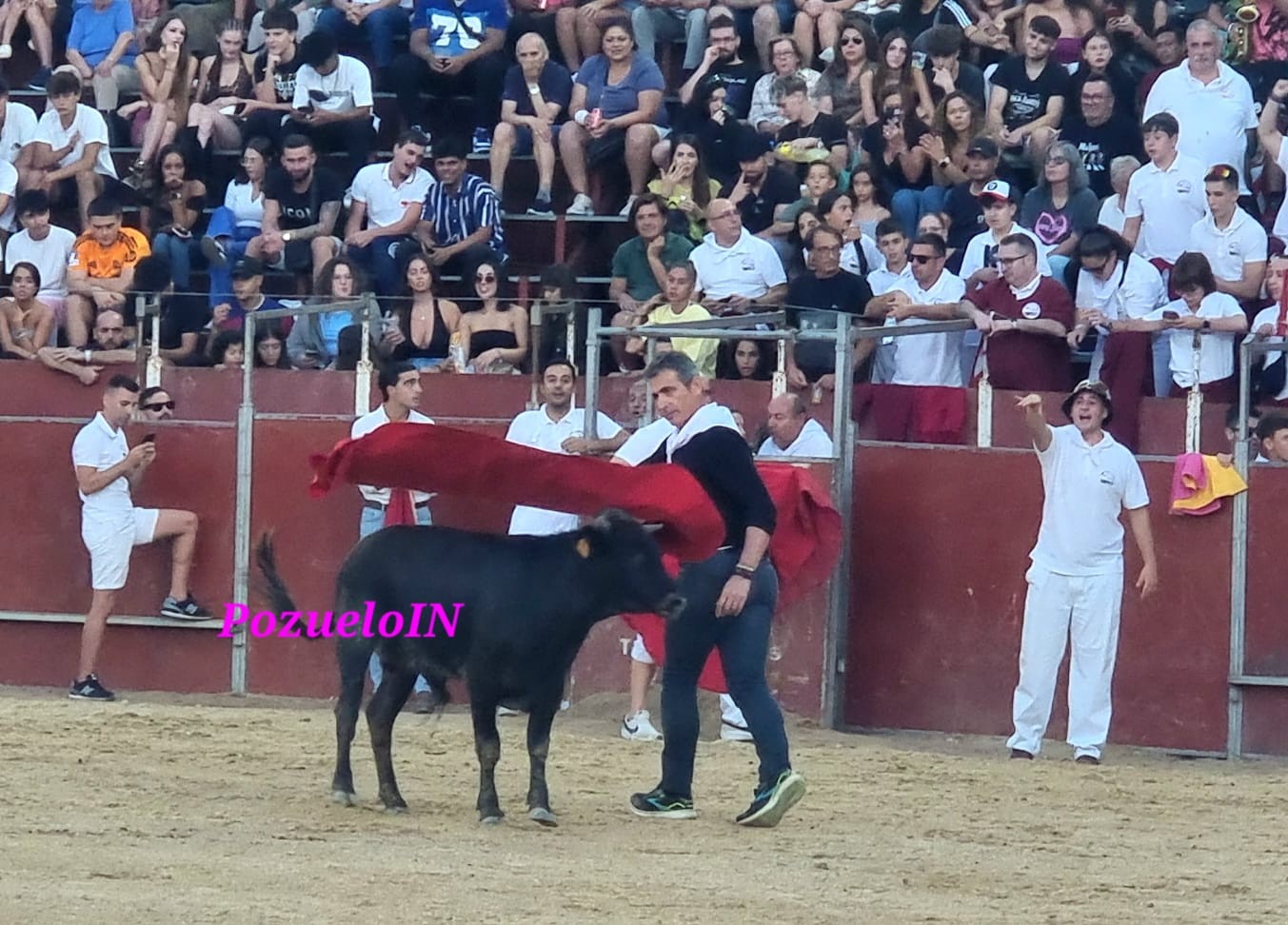 Becerrada de las Peñas de Pozuelo