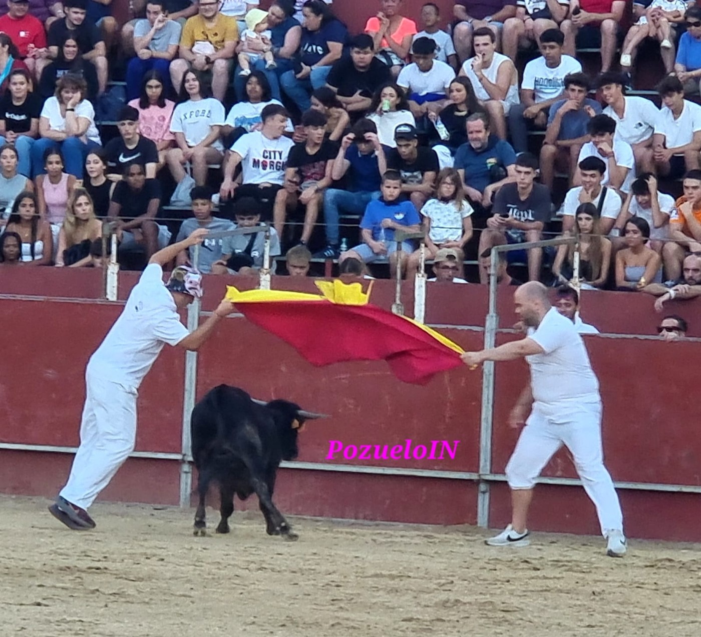 Becerrada de las Peñas de Pozuelo