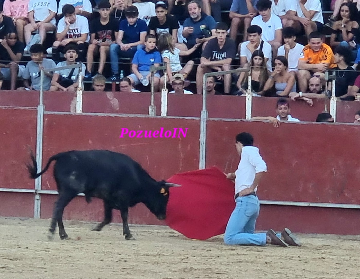 Becerrada de las Peñas de Pozuelo