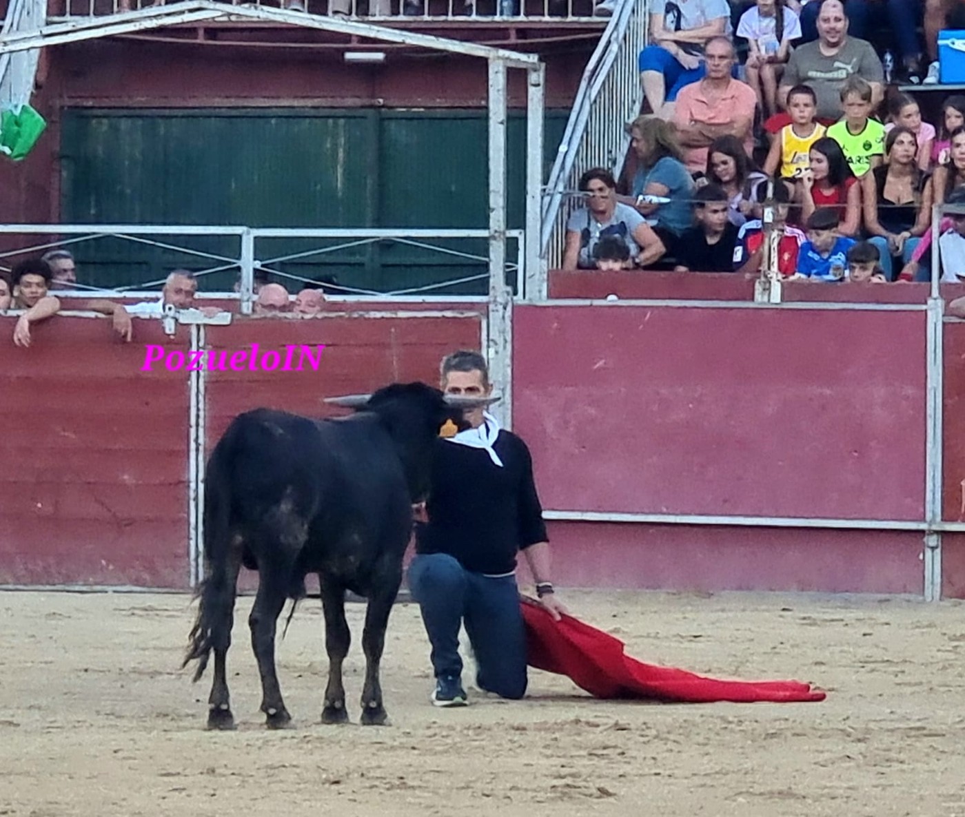 Becerrada de las Peñas de Pozuelo