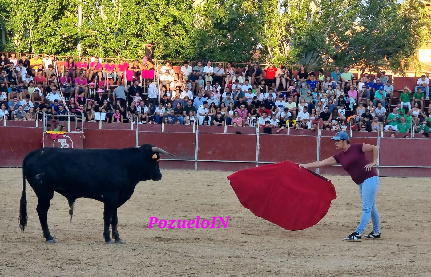 Becerrada de las Peñas de Pozuelo