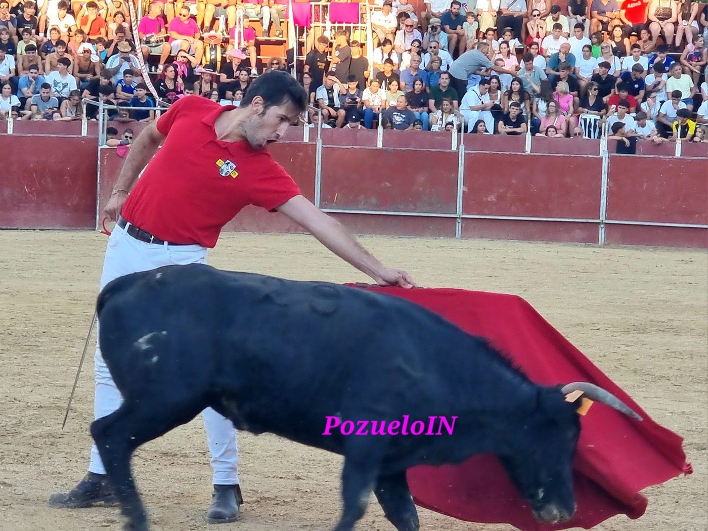 Becerrada de las Peñas de Pozuelo