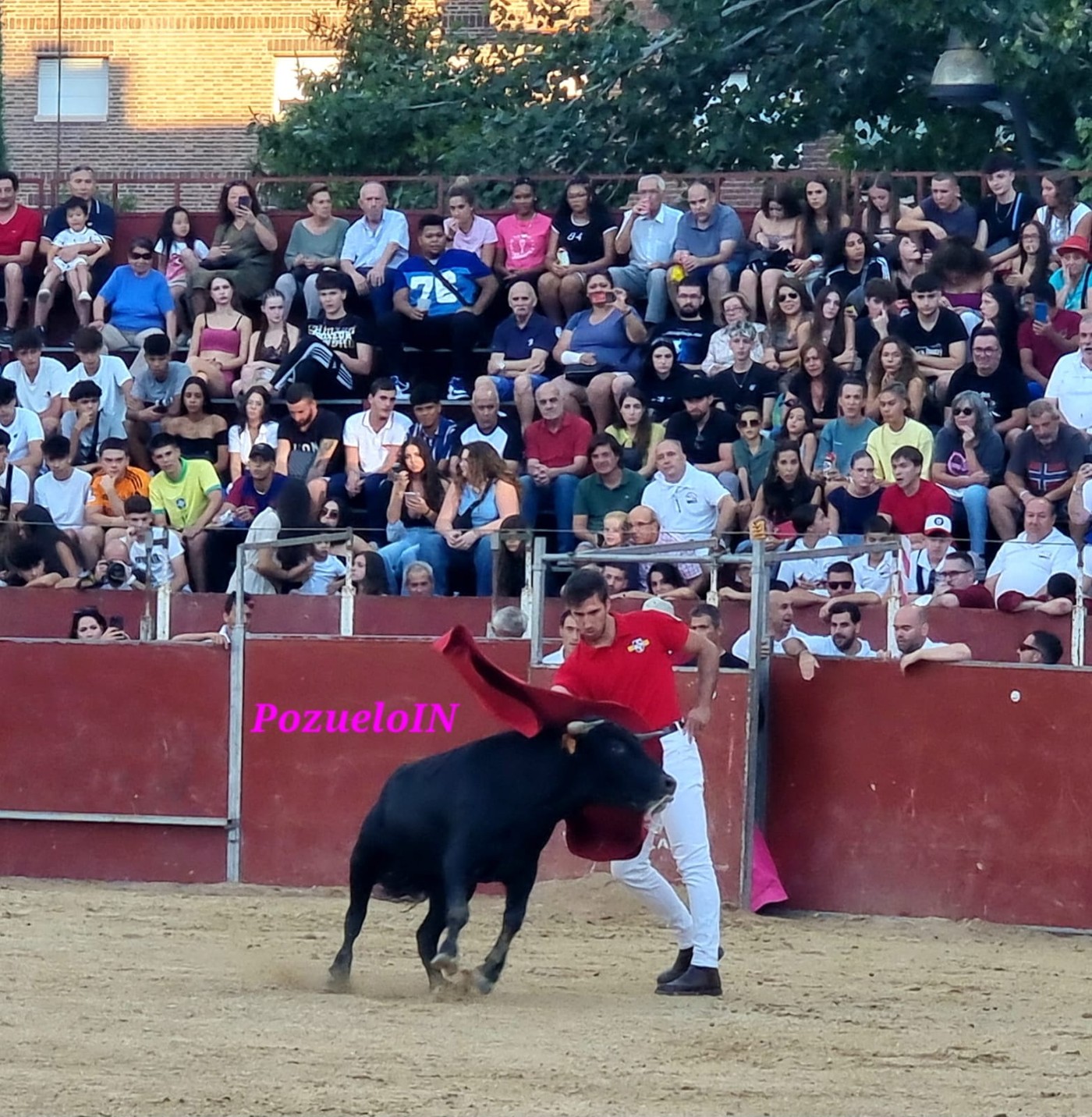 Becerrada de las Peñas de Pozuelo