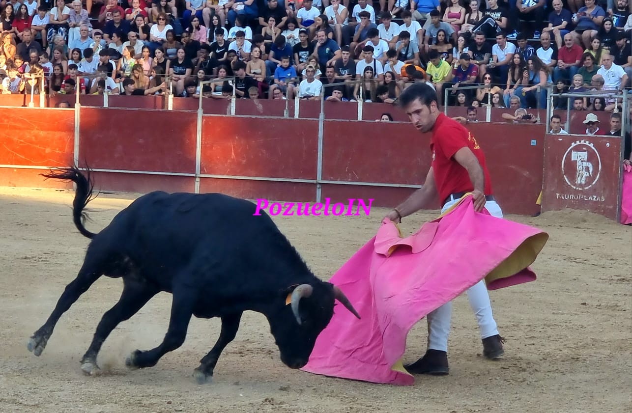 Becerrada de las Peñas de Pozuelo