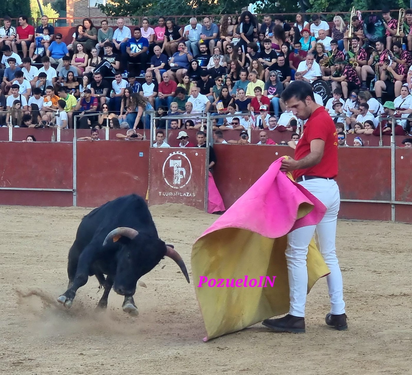 Becerrada de las Peñas de Pozuelo