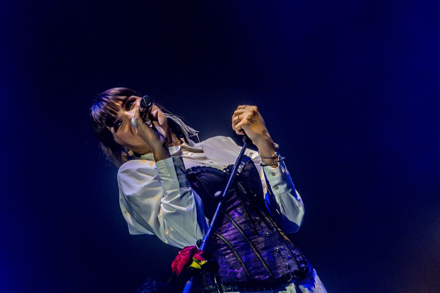 Noches del Botánico