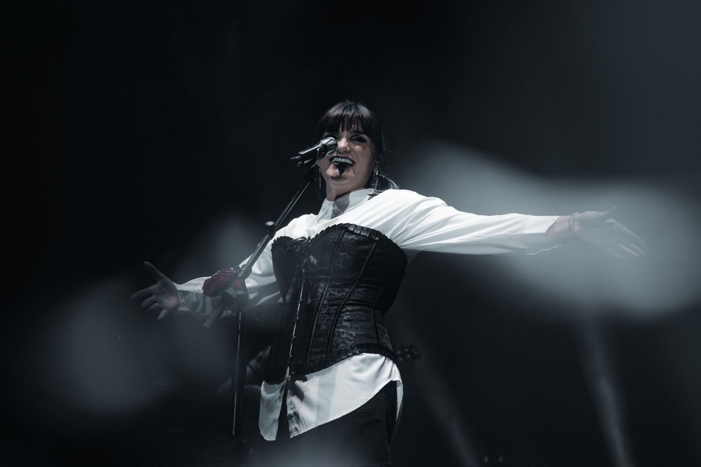 Noches del Botánico