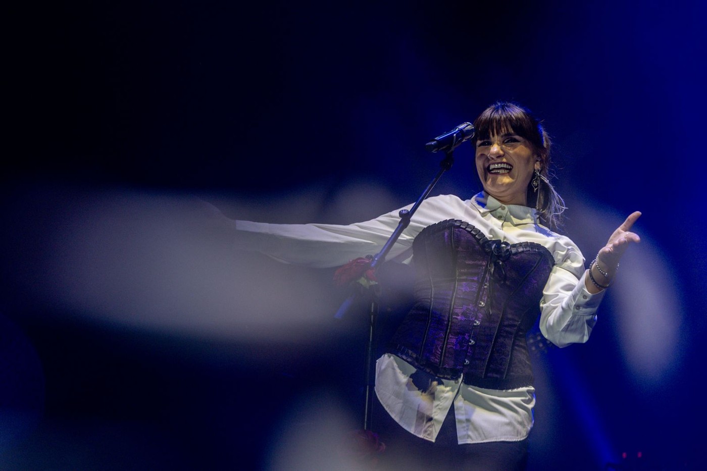 Noches del Botánico