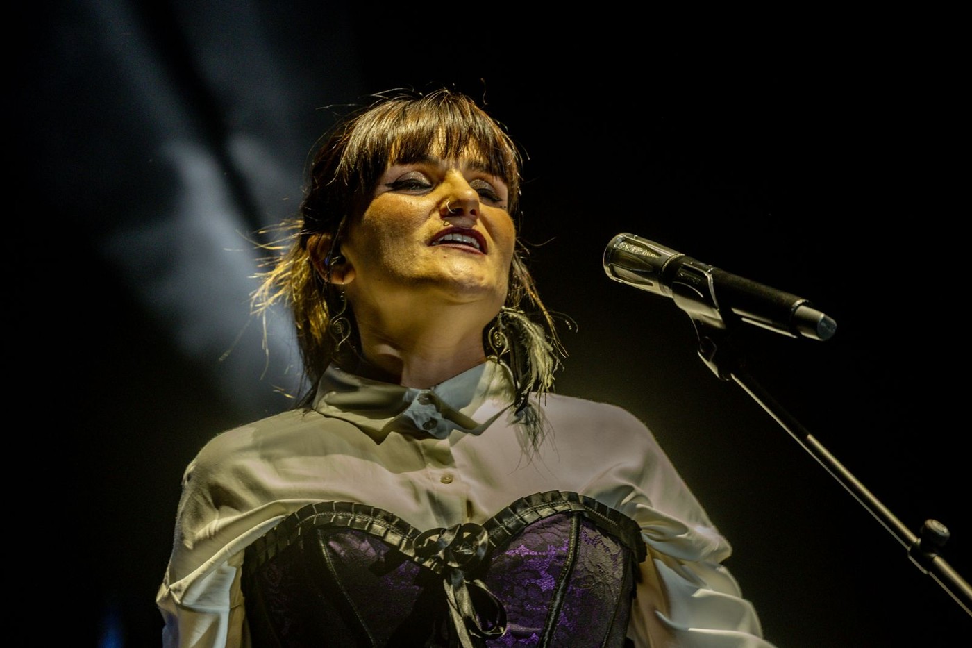 Noches del Botánico