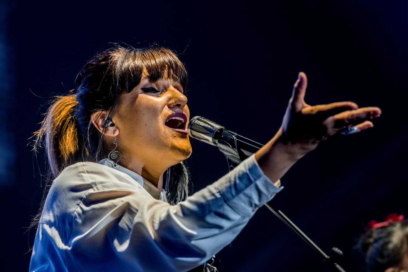 Noches del Botánico