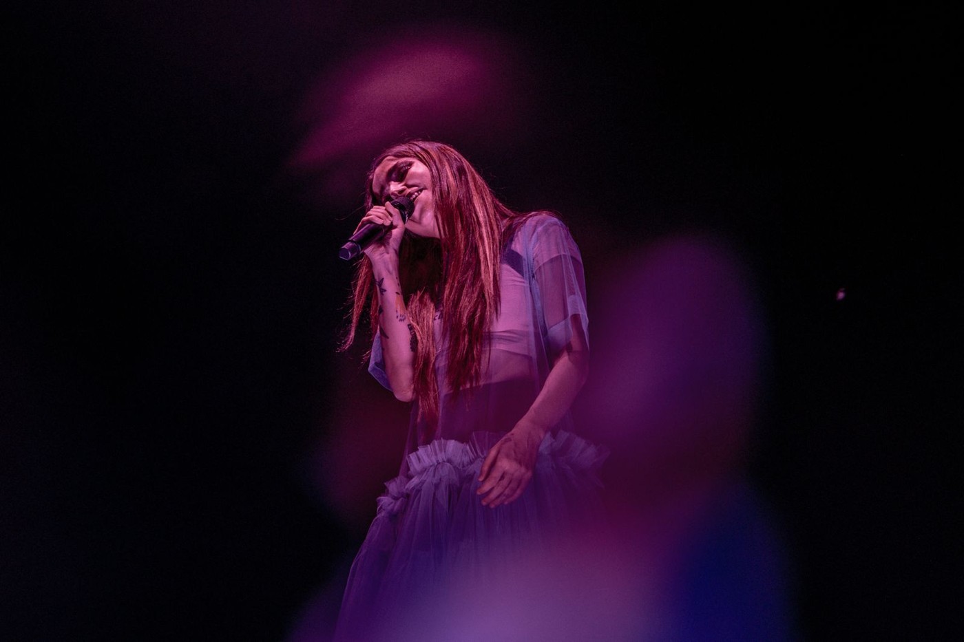 Noches del Botánico