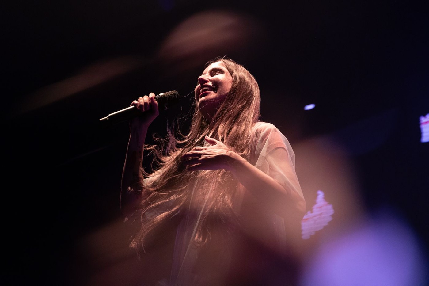 Noches del Botánico