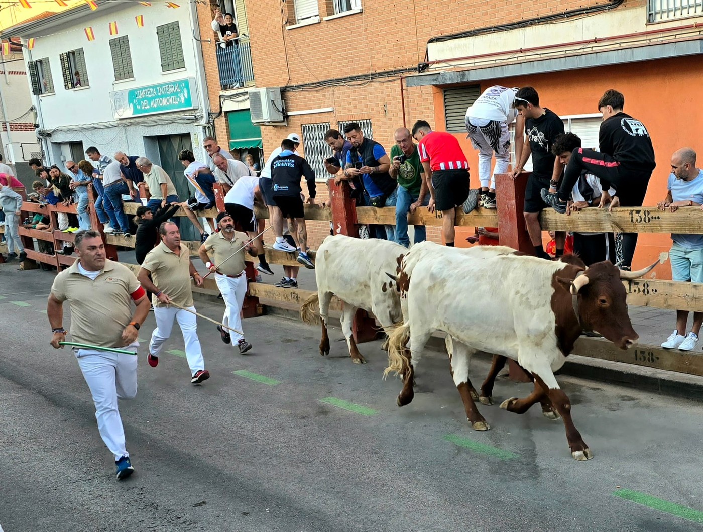 Fiestas en Pozuelo