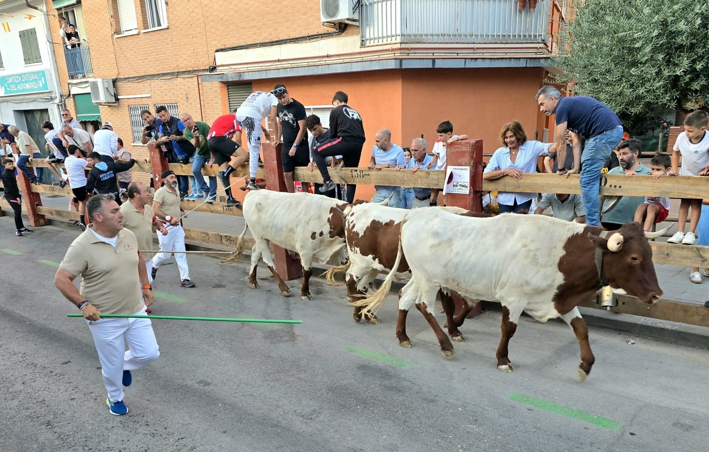 Fiestas en Pozuelo