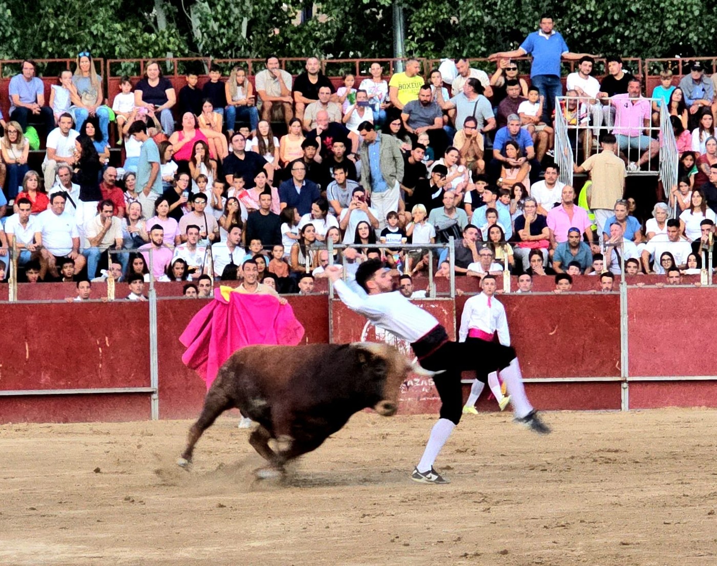Concurso de recortes en Pozuelo
