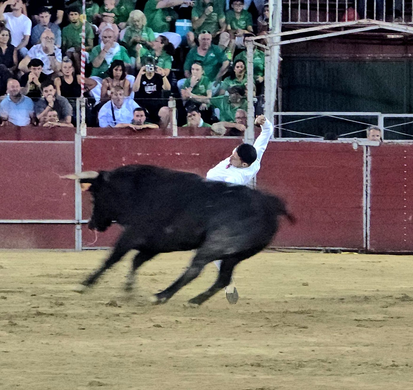 Concurso de recortes en Pozuelo