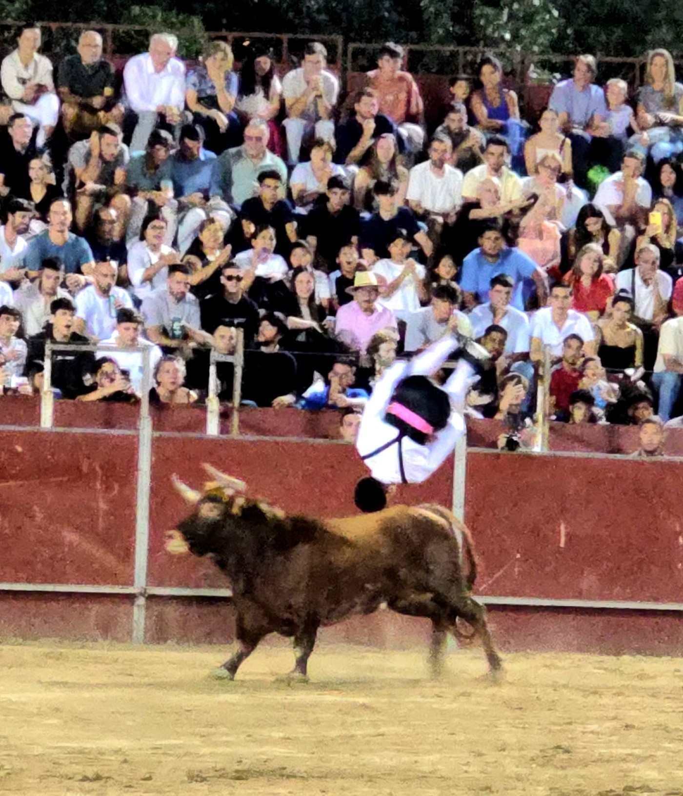 Concurso de recortes en Pozuelo