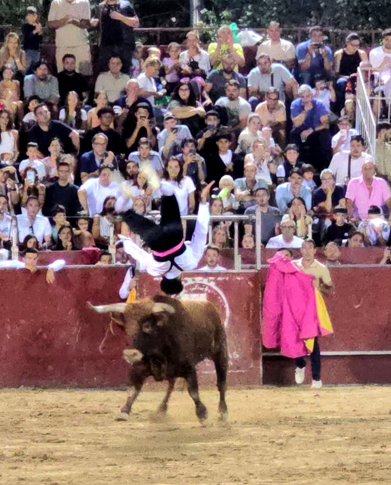 Concurso de recortes en Pozuelo