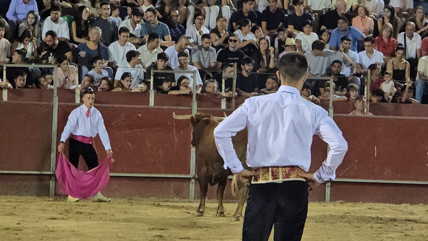 Concurso de recortes en Pozuelo